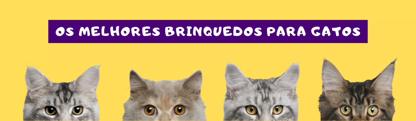 OS MELHORES BRINQUEDOS PARA GATOS