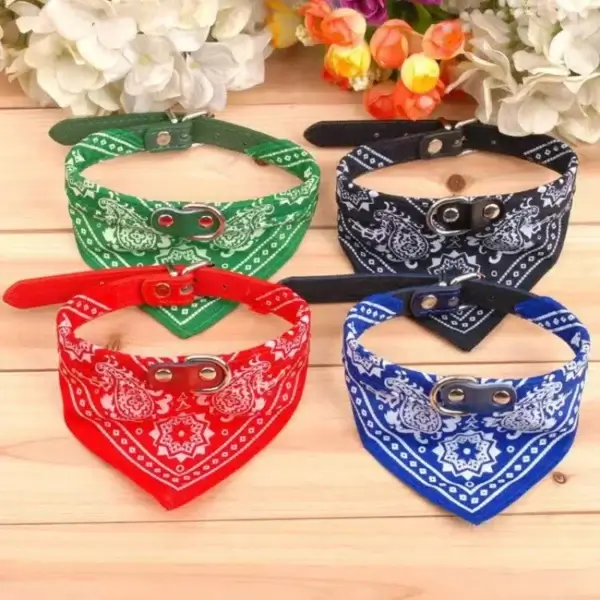  bandana para gato