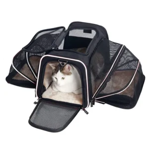 bolsa-de-transporte-pet-viagem-aviao