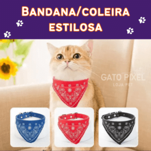 bandana para gato