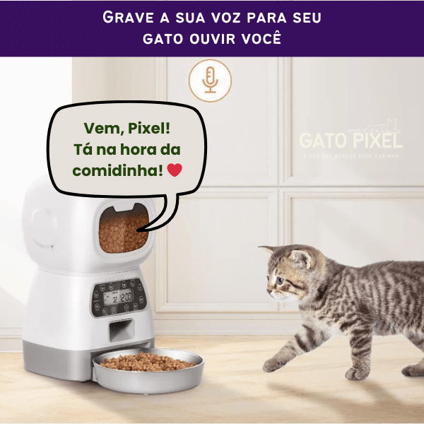 comedouro automatico para gato com wi fi